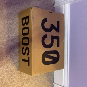 Yeezy boost 350 Mono ice